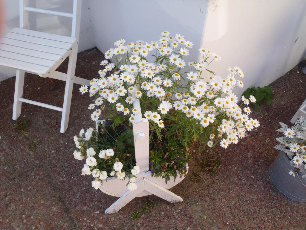 Oddevej 20 Skagen Hotel Kültér fotó